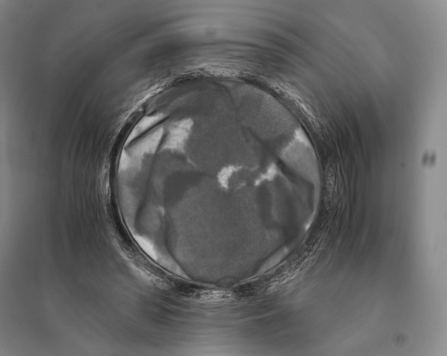 X0000095520398200801111441