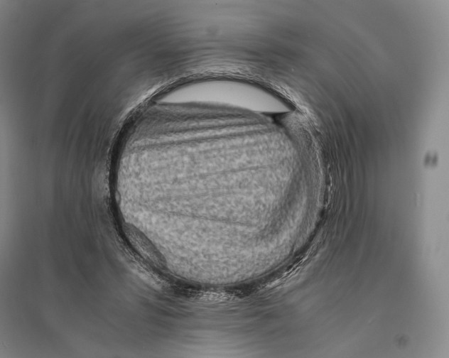 X0000095520399200801111441