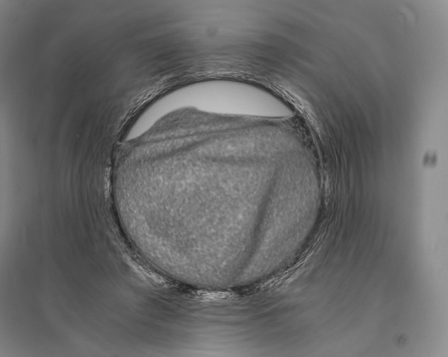 X0000095520401200801111441