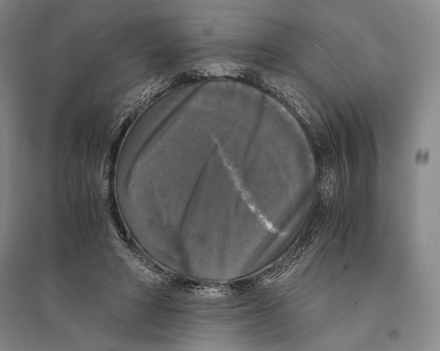 X0000095520402200801111441