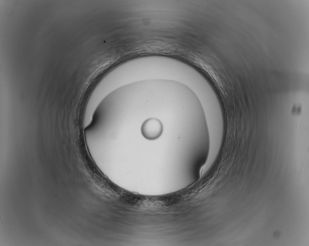 X0000095520403200801111441