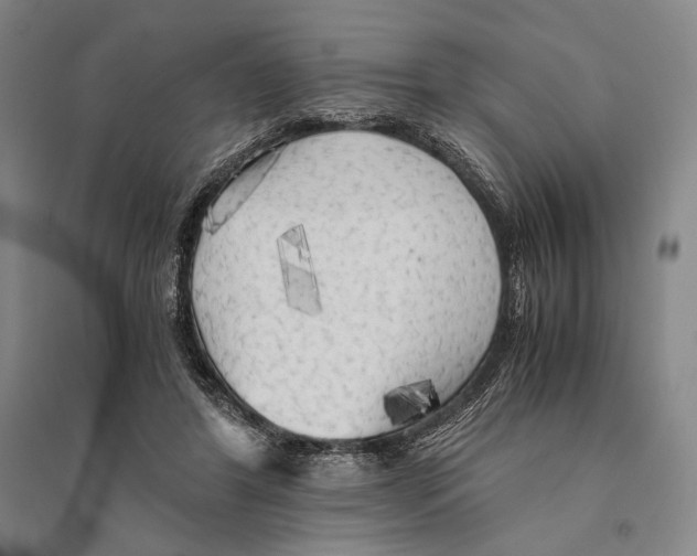 X0000095520404200801111441