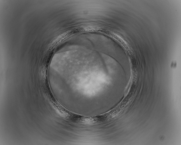 X0000095520405200801111441