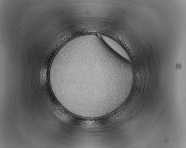 X0000095520406200801111441