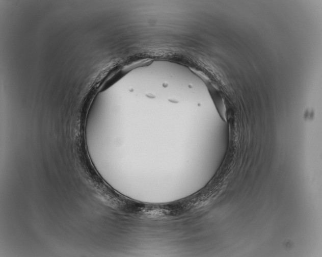 X0000095520407200801111441