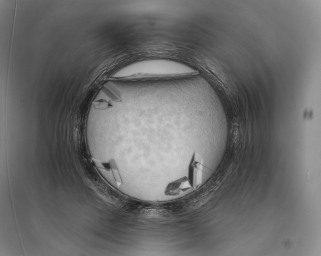 X0000095520408200801111441