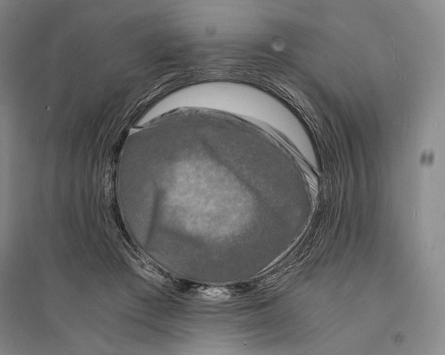 X0000095520409200801111441