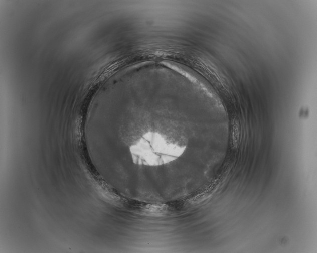 X0000095520410200801111441