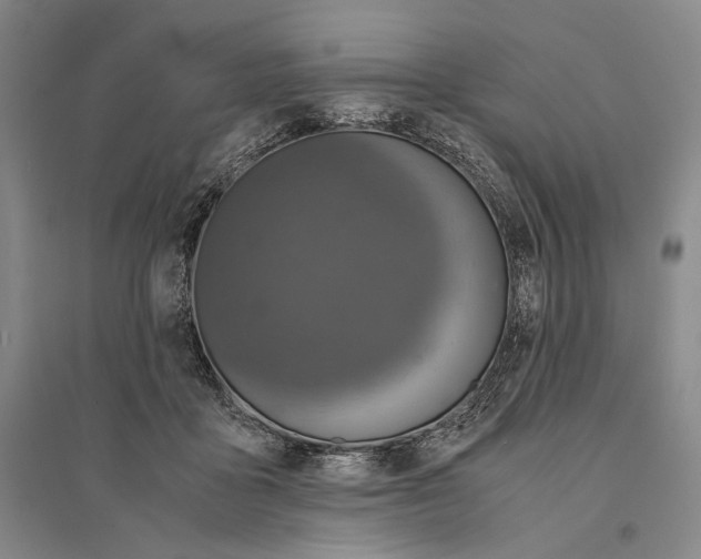 X0000095520411200801111441