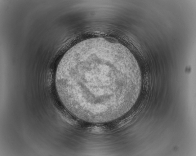 X0000095520412200801111441