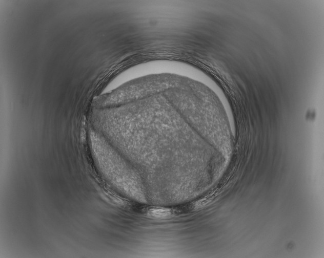 X0000095520413200801111441