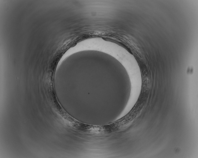 X0000095520415200801111441