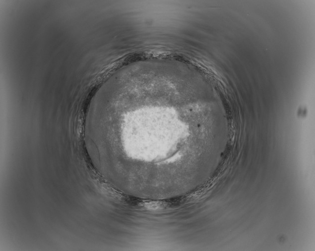 X0000095520417200801111441