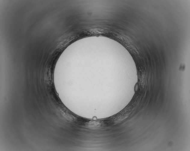 X0000095520418200801111441