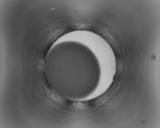 X0000095520419200801111440