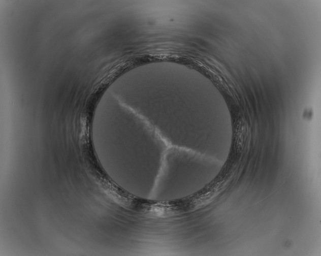 X0000095520420200801111440