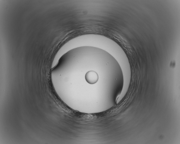 X0000095520421200801111440