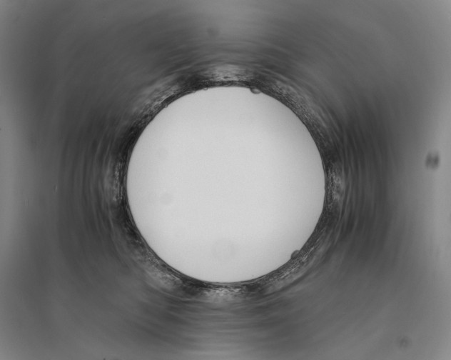 X0000095520422200801111440