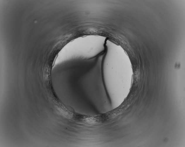 X0000095520423200801111440