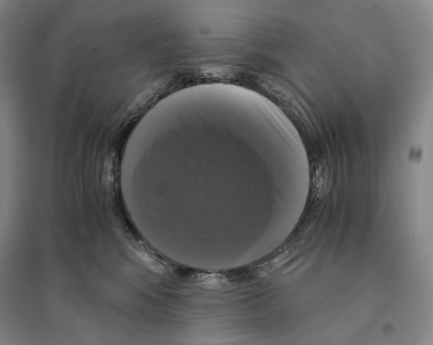 X0000095520424200801111440