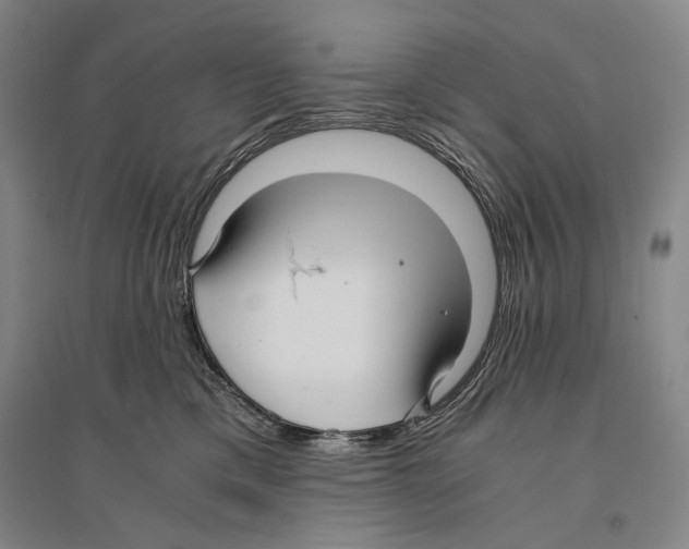 X0000095520425200801111440