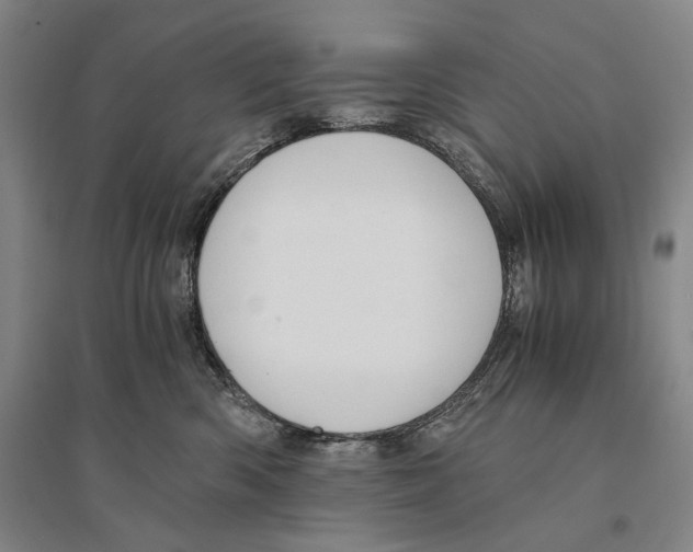 X0000095520426200801111440