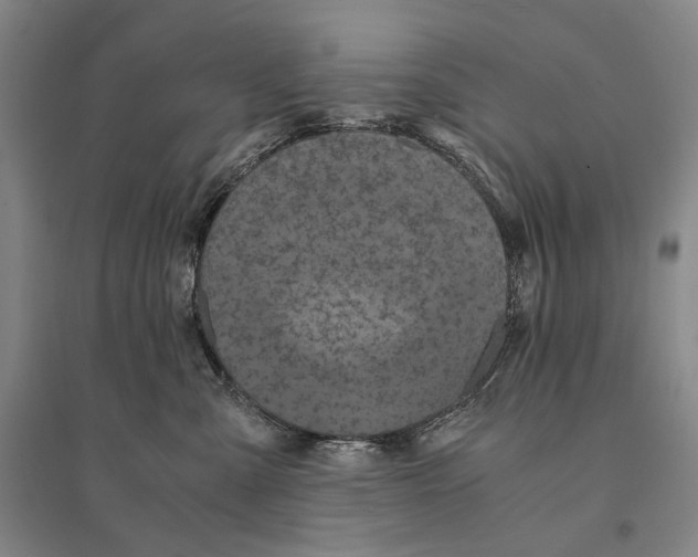 X0000095520427200801111440