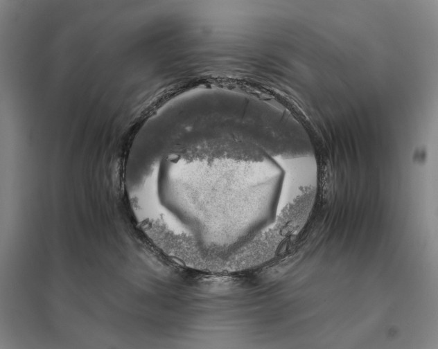 X0000095520428200801111440