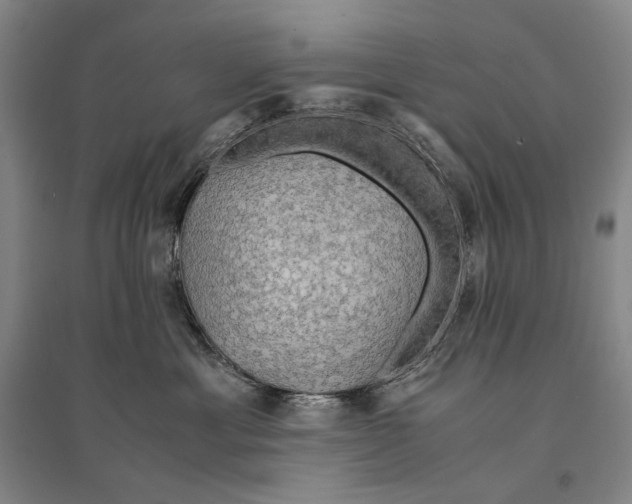 X0000095520429200801111440