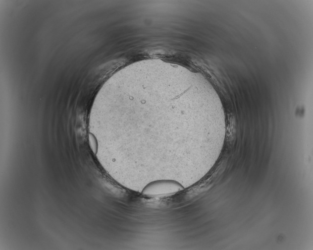 X0000095520430200801111440