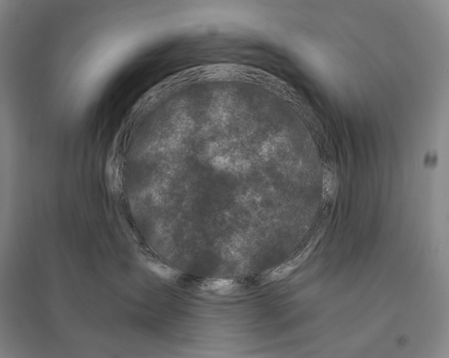 X0000095520431200801111440