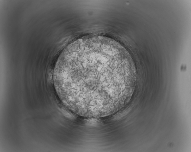 X0000095520432200801111440