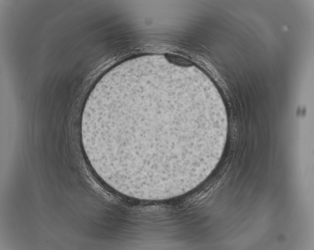 X0000095520433200801111440