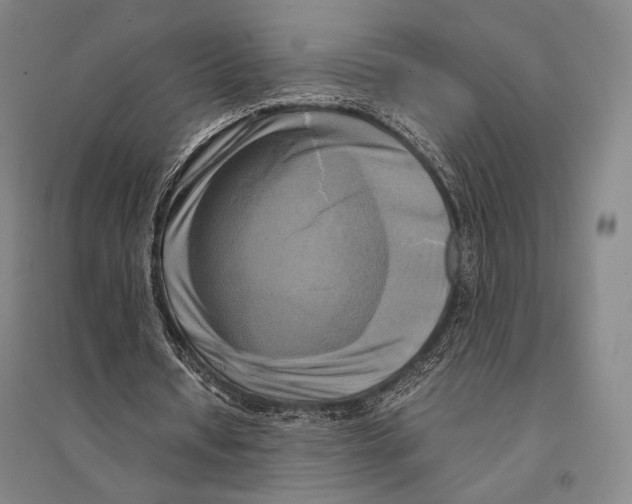 X0000095520434200801111440