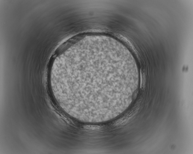 X0000095520435200801111440