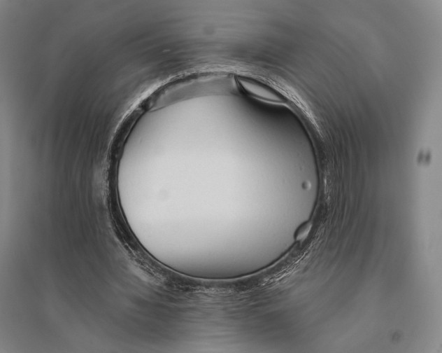 X0000095520436200801111440