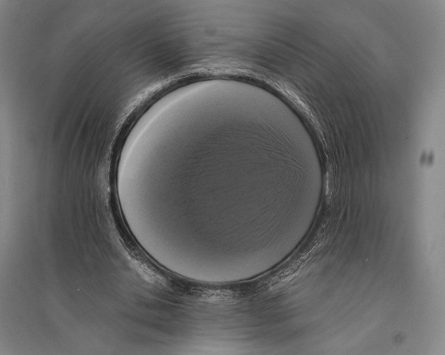 X0000095520438200801111440