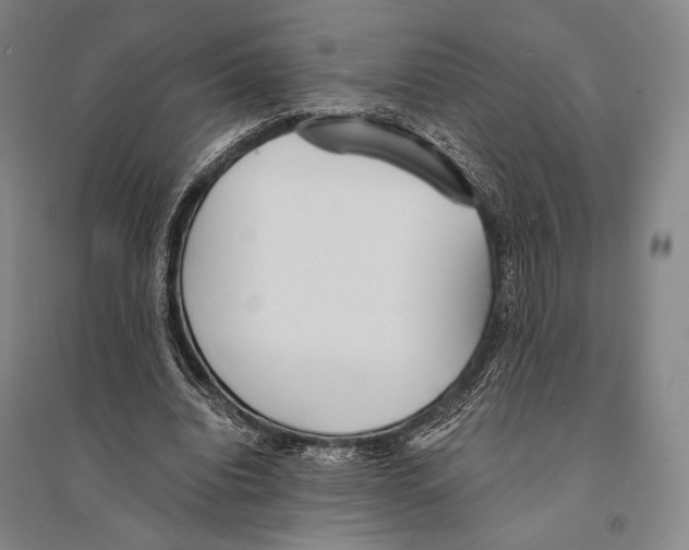 X0000095520440200801111440