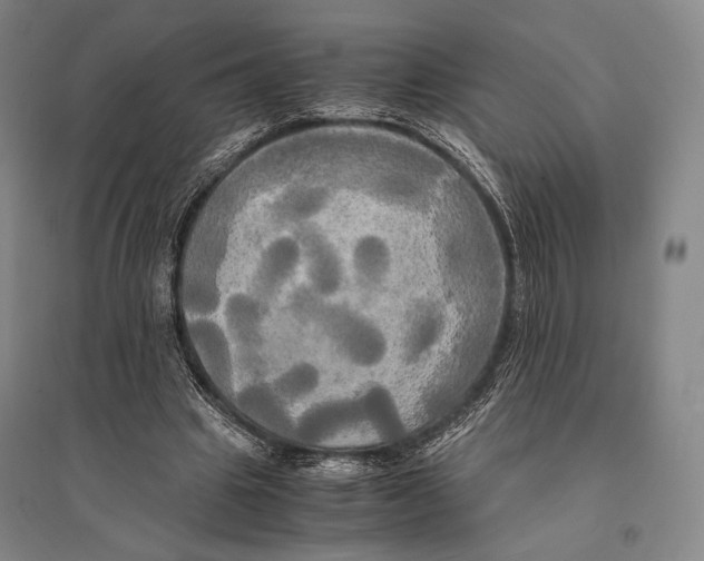 X0000095520441200801111440