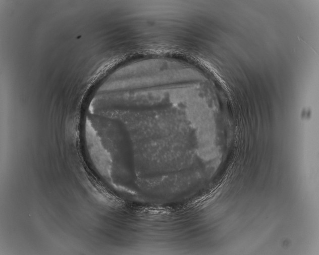 X0000095520443200801111440