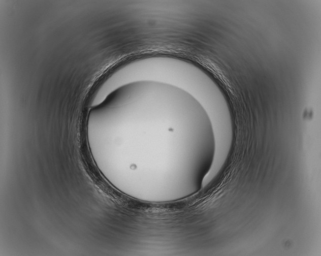 X0000095520444200801111440