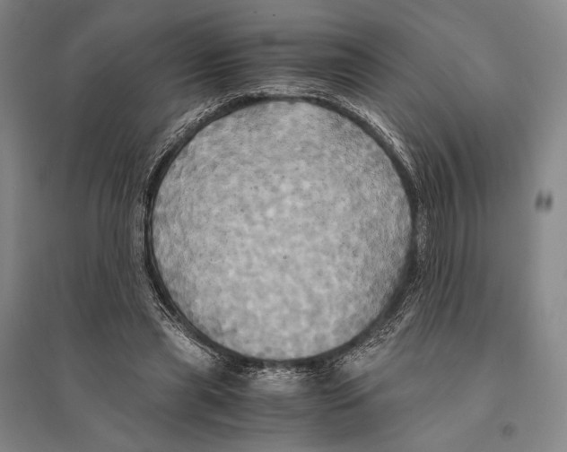 X0000095520445200801111440