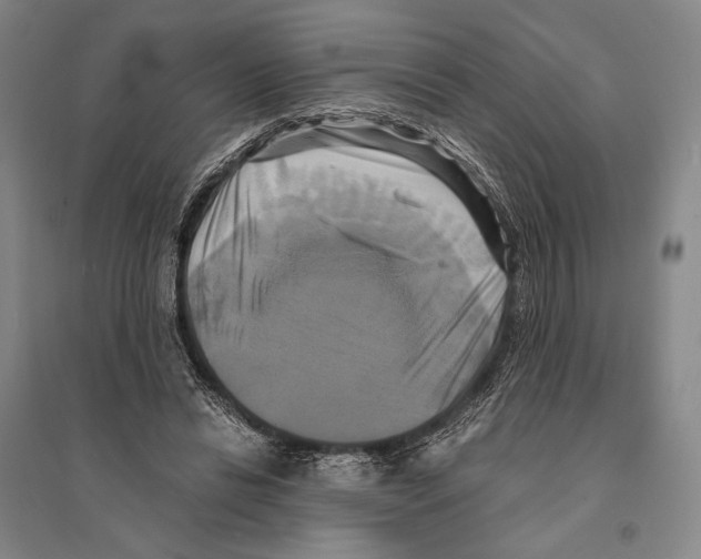 X0000095520446200801111440