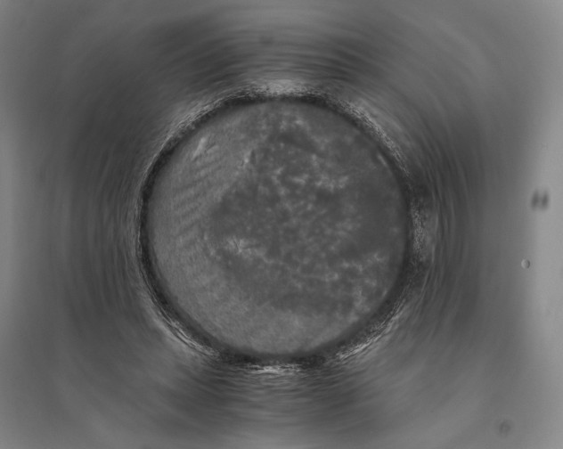 X0000095520447200801111440