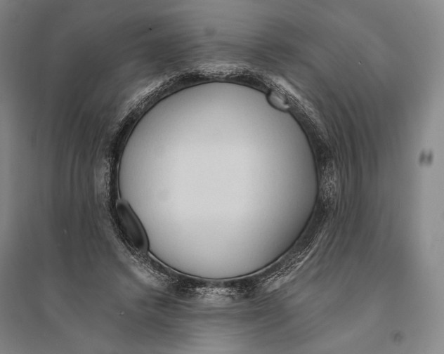 X0000095520448200801111440