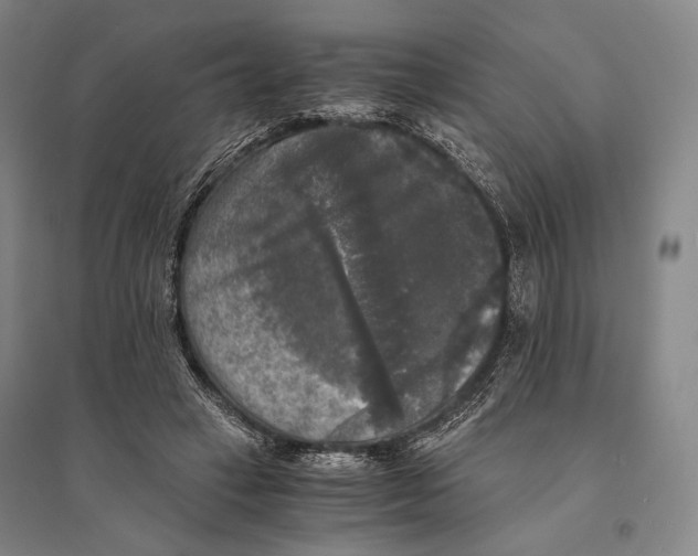 X0000095520449200801111440