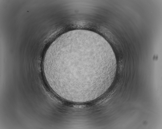 X0000095520450200801111440