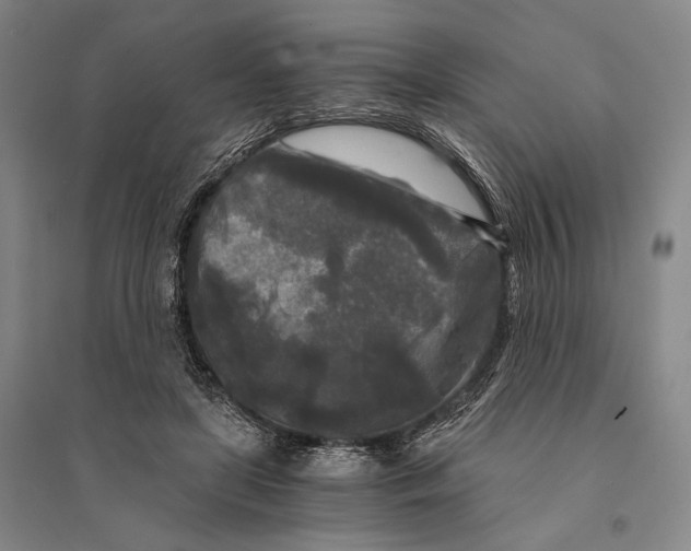 X0000095520451200801111440