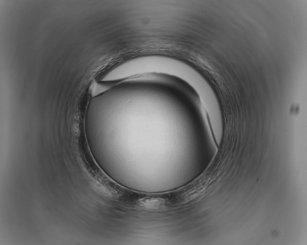 X0000095520452200801111440