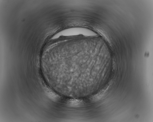 X0000095520453200801111440